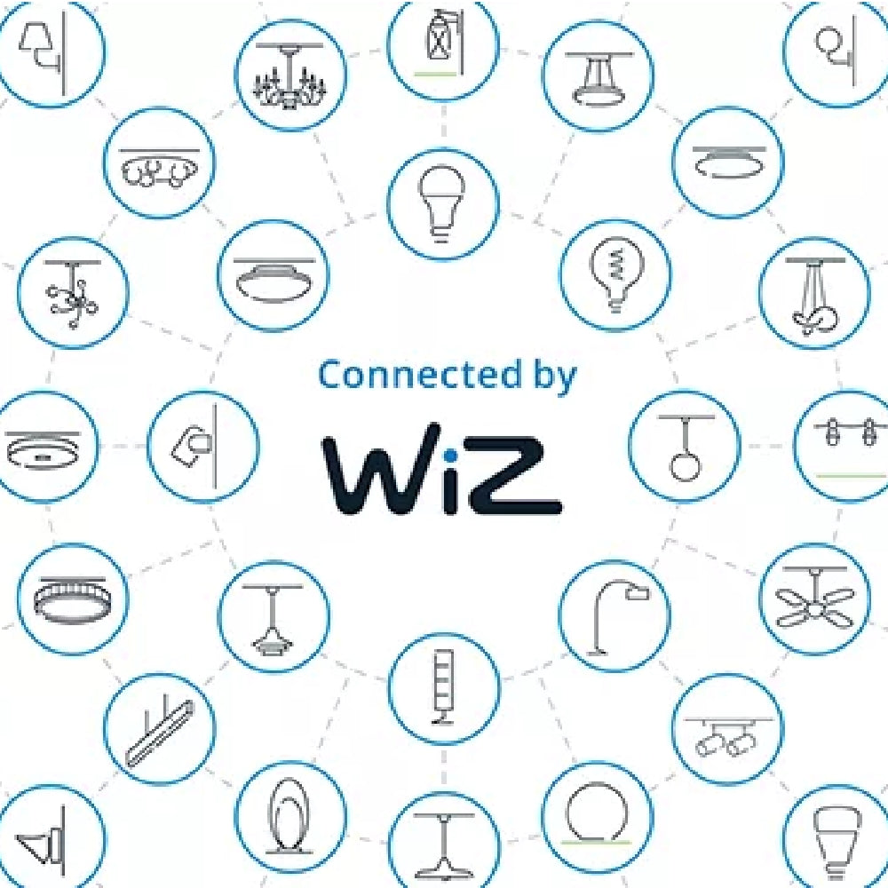 WIZ Pro Wireless Sensor W/Battery